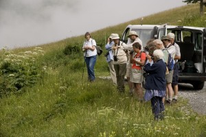 Group watching roosting butterflies in the french Pyrenees.